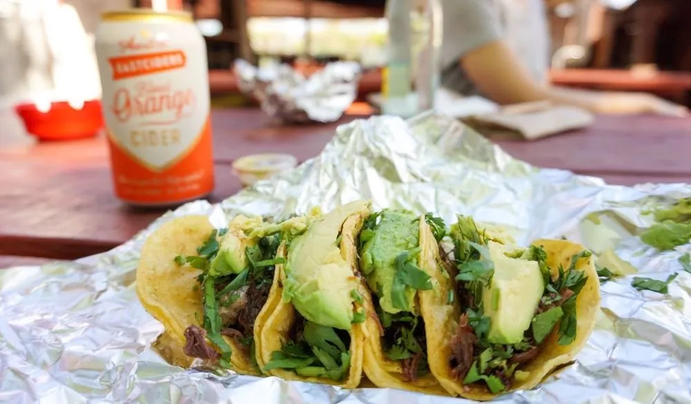 Barbacoa tacos topped with sliced avocado and cilantro